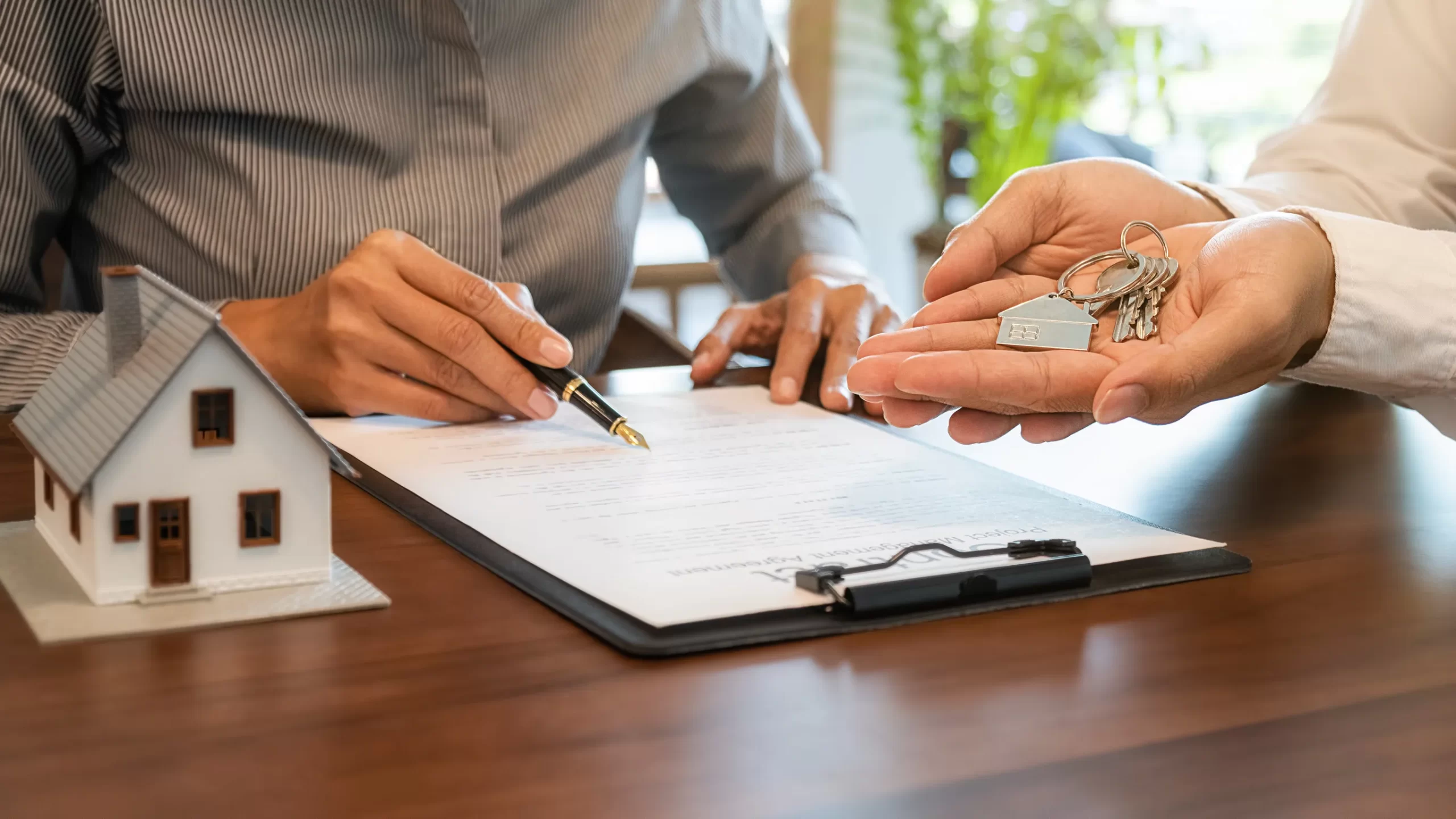 divorce lawyer